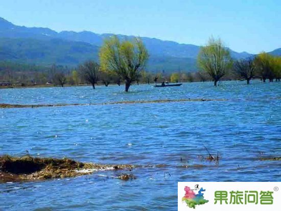滇池湖濱生態濕地讓“高原明珠”再放光彩